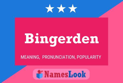 Póster del nombre Bingerden