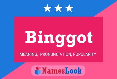 Póster del nombre Binggot