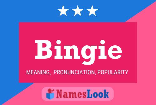 Póster del nombre Bingie