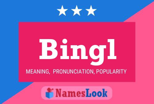 Póster del nombre Bingl