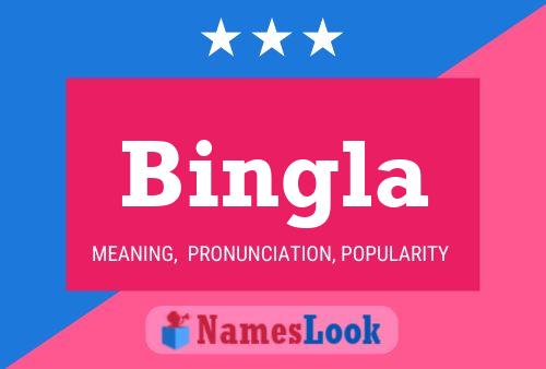 Póster del nombre Bingla