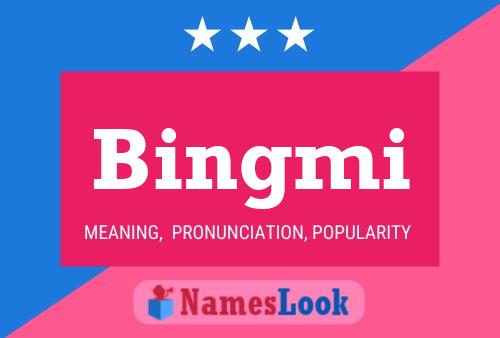 Póster del nombre Bingmi