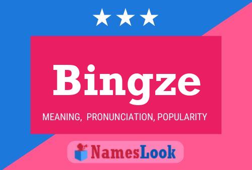 Póster del nombre Bingze