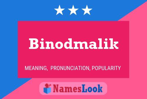 Póster del nombre Binodmalik