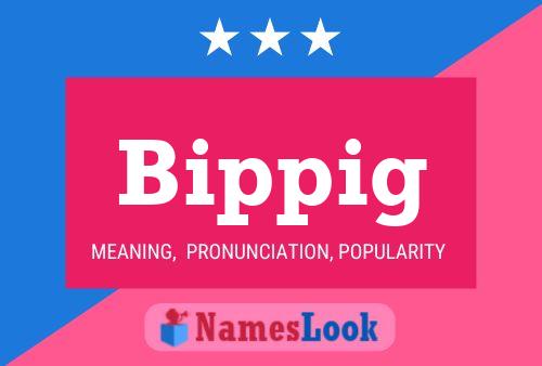 Póster del nombre Bippig