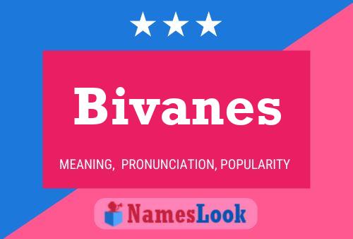 Póster del nombre Bivanes