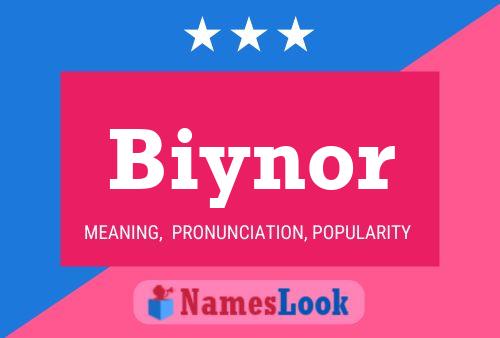 Póster del nombre Biynor