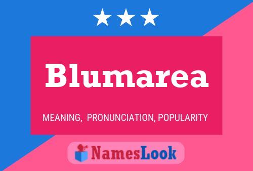 Póster del nombre Blumarea