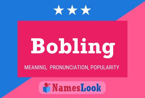 Póster del nombre Bobling