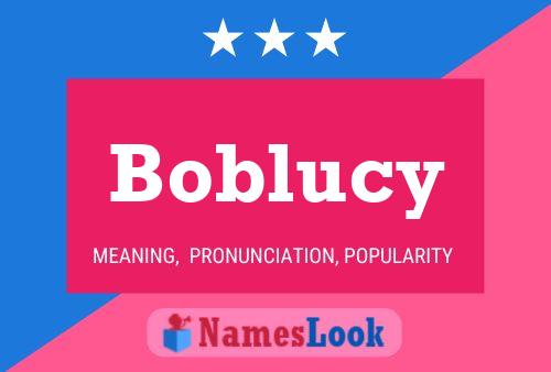 Póster del nombre Boblucy