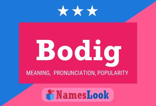 Póster del nombre Bodig