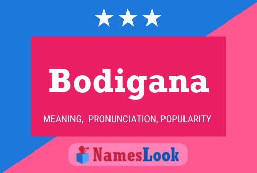 Póster del nombre Bodigana