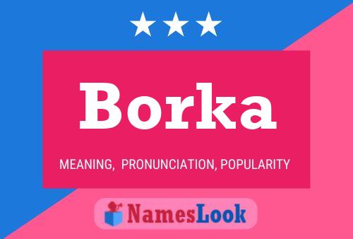 Póster del nombre Borka