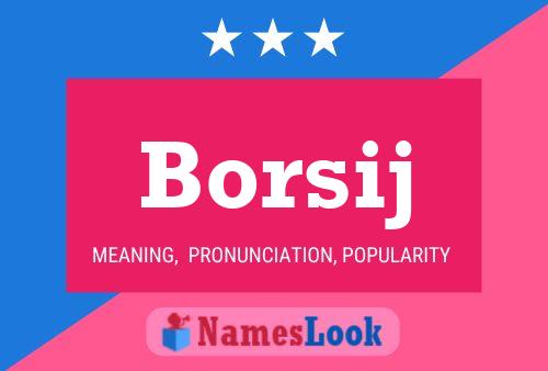 Póster del nombre Borsij