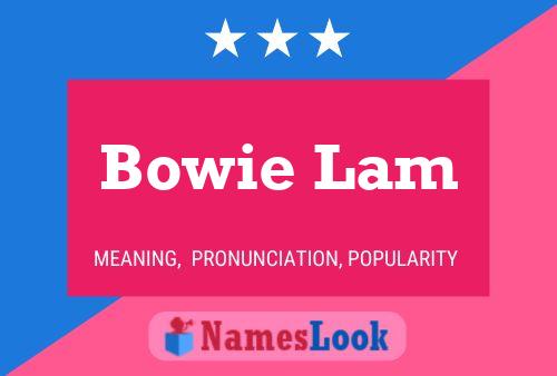 Póster del nombre Bowie Lam