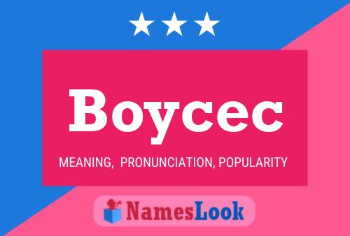 Póster del nombre Boycec