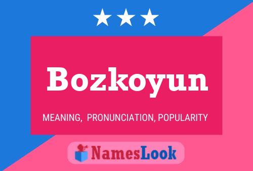 Póster del nombre Bozkoyun