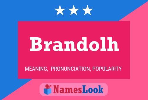 Póster del nombre Brandolh