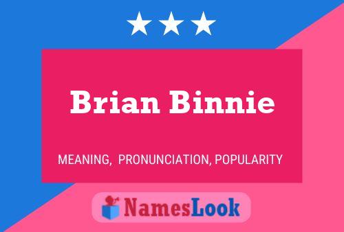 Póster del nombre Brian Binnie