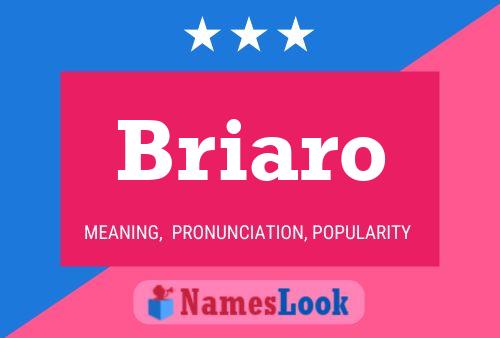 Póster del nombre Briaro