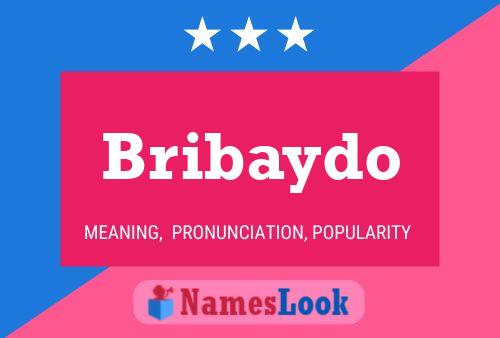 Póster del nombre Bribaydo