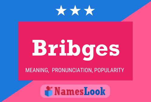 Póster del nombre Bribges