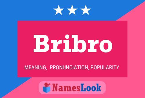 Póster del nombre Bribro