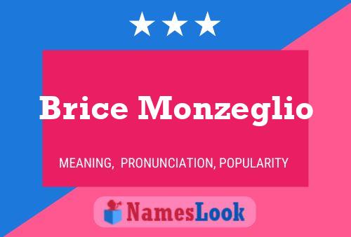 Póster del nombre Brice Monzeglio