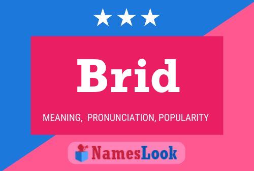 Póster del nombre Brid