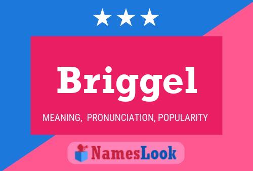 Póster del nombre Briggel