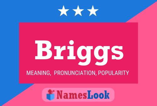 Póster del nombre Briggs