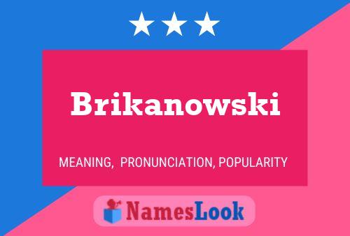 Póster del nombre Brikanowski