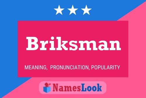 Póster del nombre Briksman