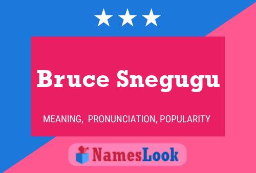 Póster del nombre Bruce Snegugu