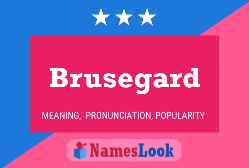 Póster del nombre Brusegard