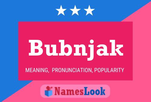 Póster del nombre Bubnjak