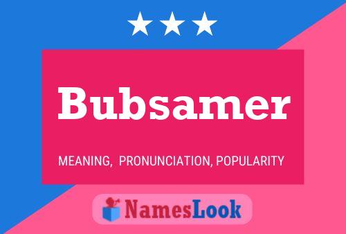 Póster del nombre Bubsamer