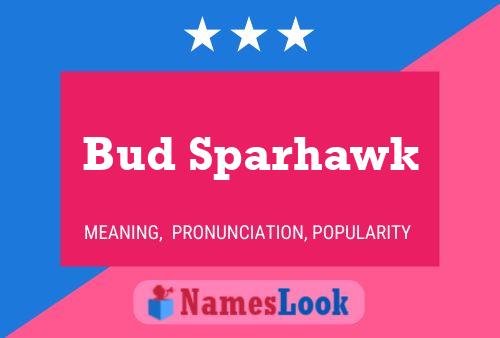 Póster del nombre Bud Sparhawk