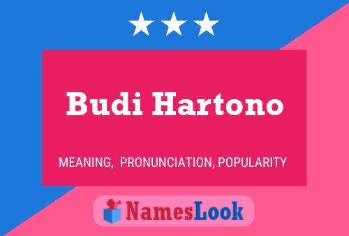 Póster del nombre Budi Hartono