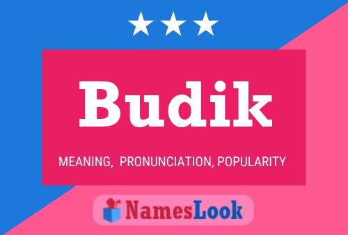 Póster del nombre Budik