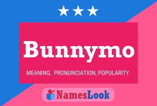 Póster del nombre Bunnymo