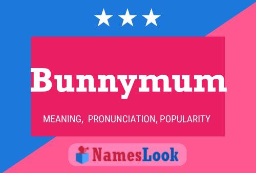 Póster del nombre Bunnymum