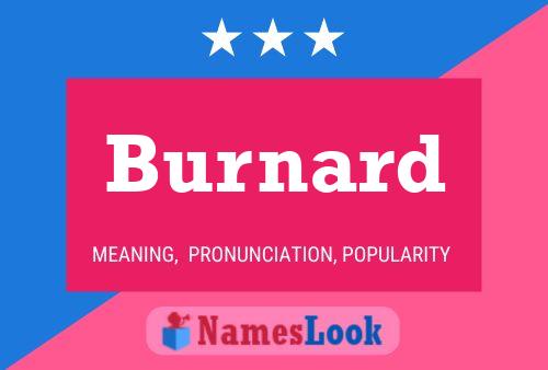 Póster del nombre Burnard