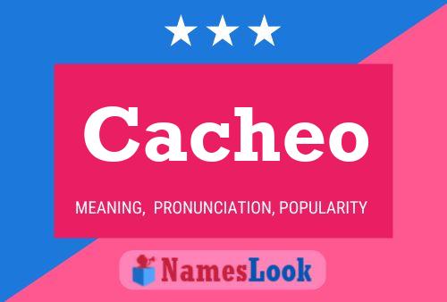 Póster del nombre Cacheo