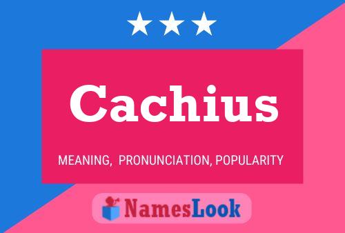 Póster del nombre Cachius