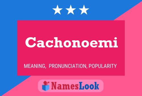 Póster del nombre Cachonoemi