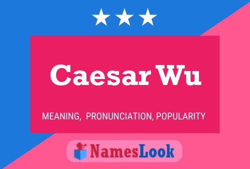 Póster del nombre Caesar Wu