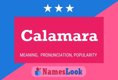 Póster del nombre Calamara