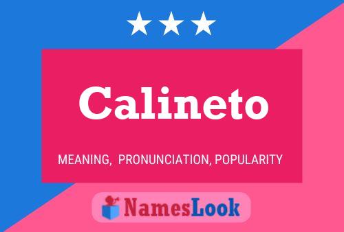 Póster del nombre Calineto