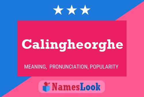 Póster del nombre Calingheorghe